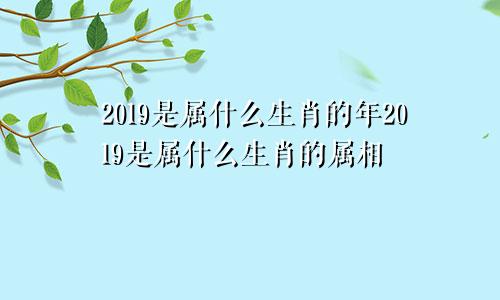 2019是属什么生肖的年2019是属什么生肖的属相