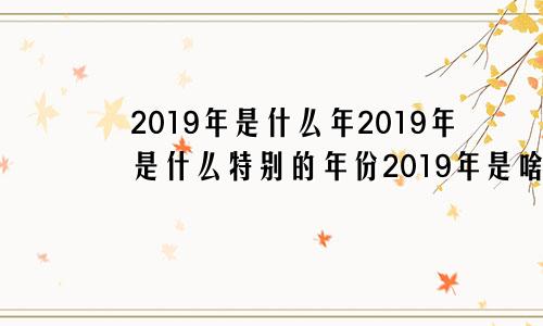 2019年是什么年2019年是什么特别的年份2019年是啥年代