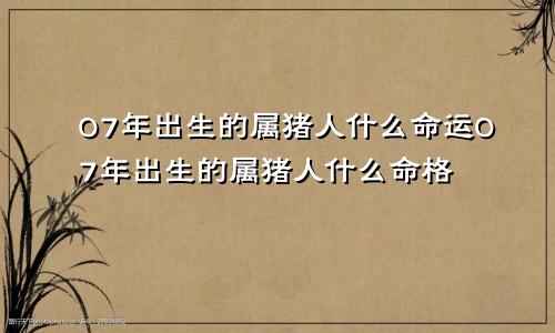 07年出生的属猪人什么命运07年出生的属猪人什么命格