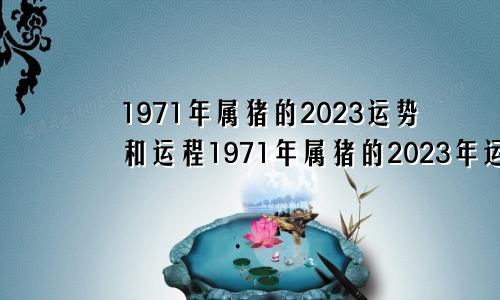 1971年属猪的2023运势和运程1971年属猪的2023年运势