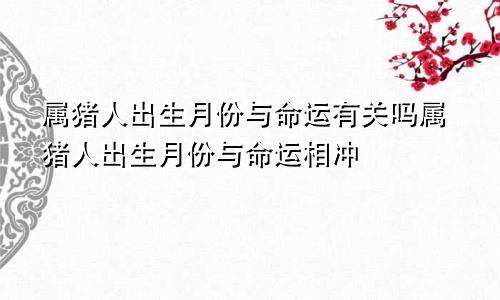 属猪人出生月份与命运有关吗属猪人出生月份与命运相冲