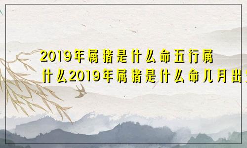 2019年属猪是什么命五行属什么2019年属猪是什么命几月出生好