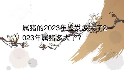 属猪的2023年虚岁多大了2023年属猪多大了?