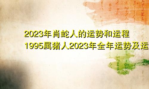 2023年肖蛇人的运势和运程1995属猪人2023年全年运势及运程