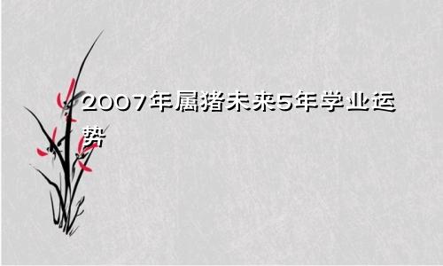 2007年属猪未来5年学业运势