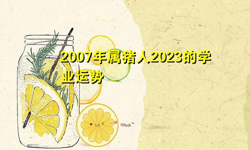 2007年属猪人2023的学业运势