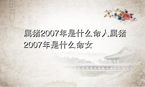 属猪2007年是什么命人属猪2007年是什么命女