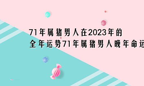 71年属猪男人在2023年的全年运势71年属猪男人晚年命运