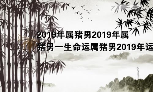 2019年属猪男2019年属猪男一生命运属猪男2019年运势及运程