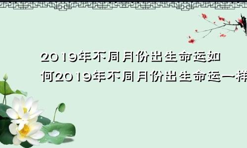 2019年不同月份出生命运如何2019年不同月份出生命运一样吗