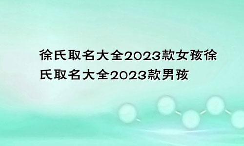 徐氏取名大全2023款女孩徐氏取名大全2023款男孩