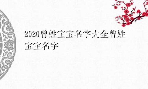 2020曾姓宝宝名字大全曾姓宝宝名字