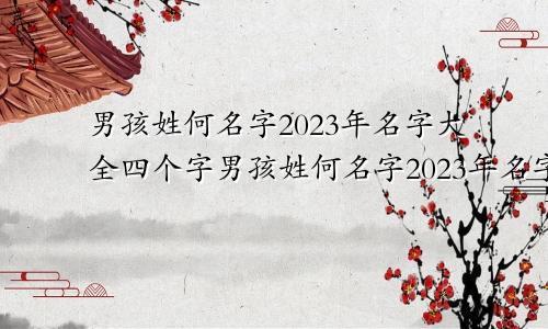 男孩姓何名字2023年名字大全四个字男孩姓何名字2023年名字大全怎么取