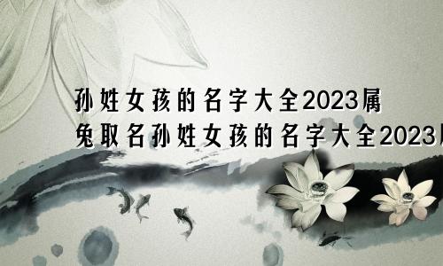 孙姓女孩的名字大全2023属兔取名孙姓女孩的名字大全2023属兔宝宝