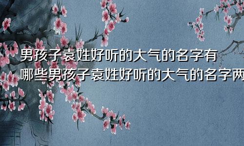 男孩子袁姓好听的大气的名字有哪些男孩子袁姓好听的大气的名字两个字