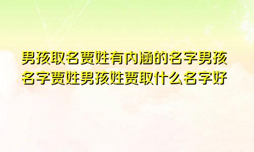 男孩取名贾姓有内涵的名字男孩名字贾姓男孩姓贾取什么名字好