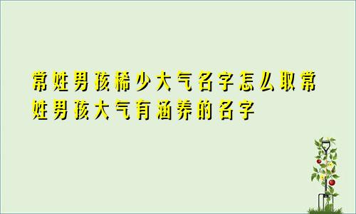 常姓男孩稀少大气名字怎么取常姓男孩大气有涵养的名字