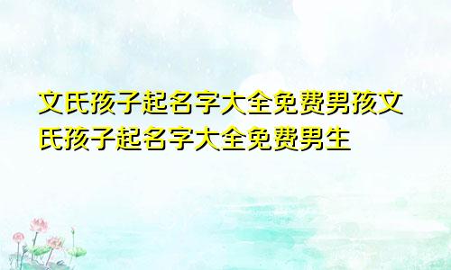 文氏孩子起名字大全免费男孩文氏孩子起名字大全免费男生