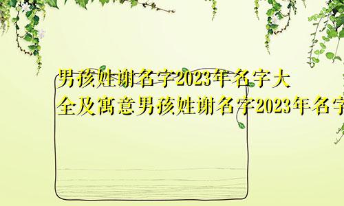 男孩姓谢名字2023年名字大全及寓意男孩姓谢名字2023年名字大全怎么取