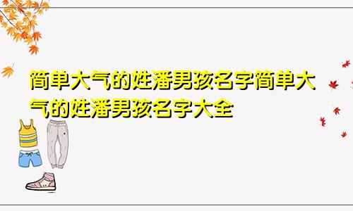 简单大气的姓潘男孩名字简单大气的姓潘男孩名字大全