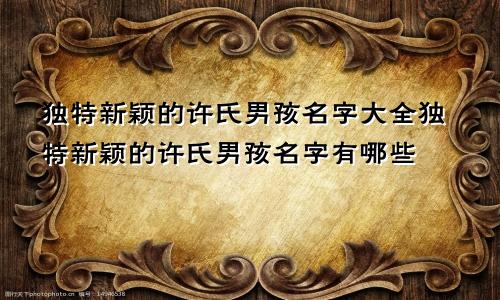 独特新颖的许氏男孩名字大全独特新颖的许氏男孩名字有哪些