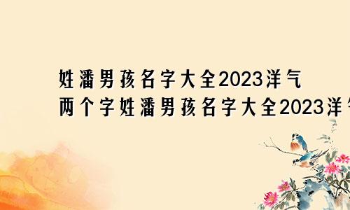 姓潘男孩名字大全2023洋气两个字姓潘男孩名字大全2023洋气