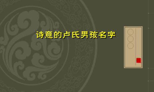 诗意的卢氏男孩名字