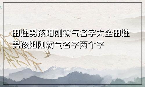 田姓男孩阳刚霸气名字大全田姓男孩阳刚霸气名字两个字