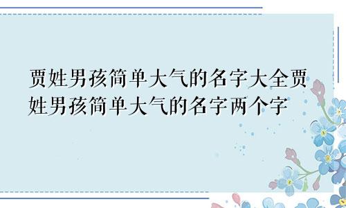 贾姓男孩简单大气的名字大全贾姓男孩简单大气的名字两个字