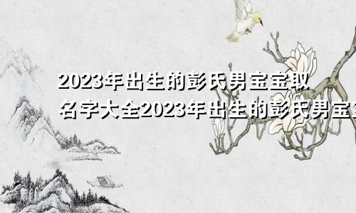 2023年出生的彭氏男宝宝取名字大全2023年出生的彭氏男宝宝取名字怎么取