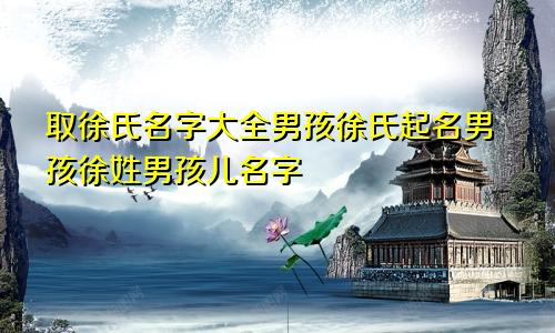 取徐氏名字大全男孩徐氏起名男孩徐姓男孩儿名字