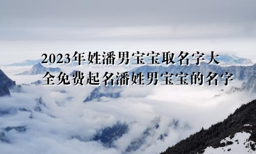 2023年姓潘男宝宝取名字大全免费起名潘姓男宝宝的名字