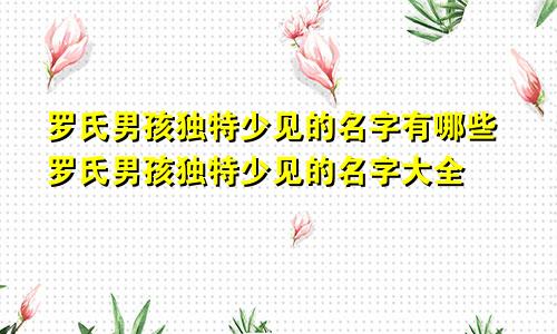 罗氏男孩独特少见的名字有哪些罗氏男孩独特少见的名字大全