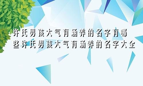 许氏男孩大气有涵养的名字有哪些许氏男孩大气有涵养的名字大全