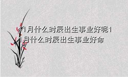 11月什么时辰出生事业好呢11月什么时辰出生事业好命