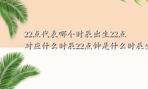 22点代表哪个时辰出生22点对应什么时辰22点钟是什么时辰生肖