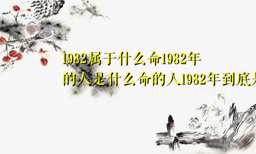 1982属于什么命1982年的人是什么命的人1982年到底是什么命