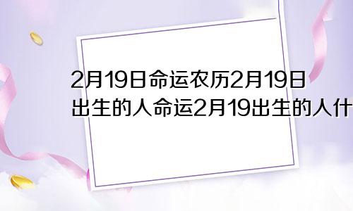 2月19日命运农历2月19日出生的人命运2月19出生的人什么命