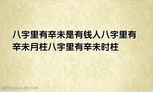 八字里有辛未是有钱人八字里有辛未月柱八字里有辛未时柱