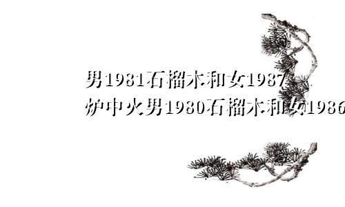 男1981石榴木和女1987炉中火男1980石榴木和女1986炉中火