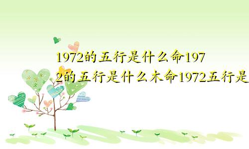 1972的五行是什么命1972的五行是什么木命1972五行是什么水