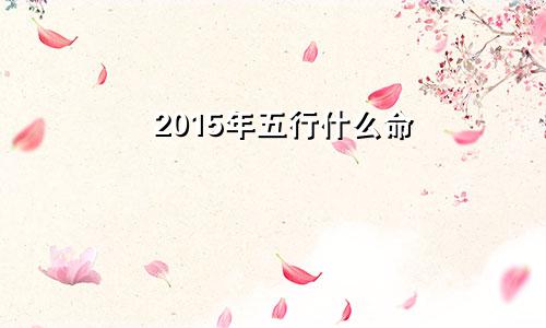 2015年五行什么命