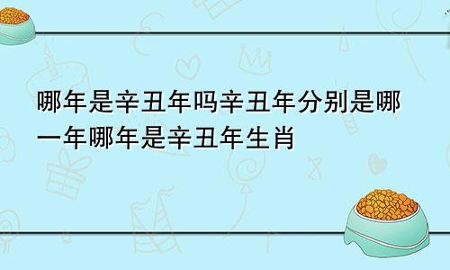 哪年是辛丑年吗辛丑年分别是哪一年哪年是辛丑年生肖