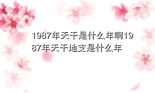 1987年天干是什么年啊1987年天干地支是什么年