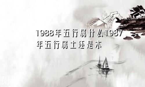 1988年五行属什么1987年五行属土还是木