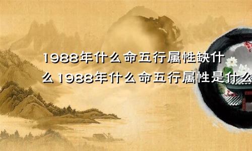 1988年什么命五行属性缺什么1988年什么命五行属性是什么