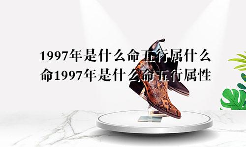 1997年是什么命五行属什么命1997年是什么命五行属性