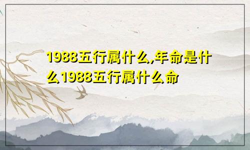 1988五行属什么,年命是什么1988五行属什么命