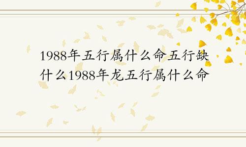 1988年五行属什么命五行缺什么1988年龙五行属什么命