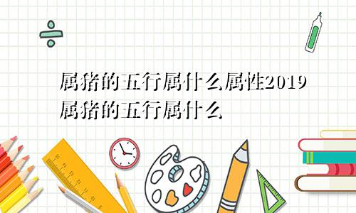 属猪的五行属什么属性2019属猪的五行属什么